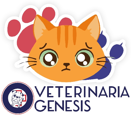 Vet Génesis emojis  12