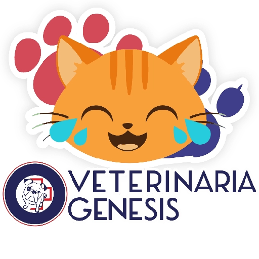 Vet Génesis emojis  9