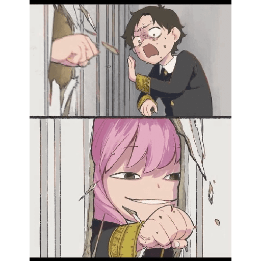 Random Spy x family  8