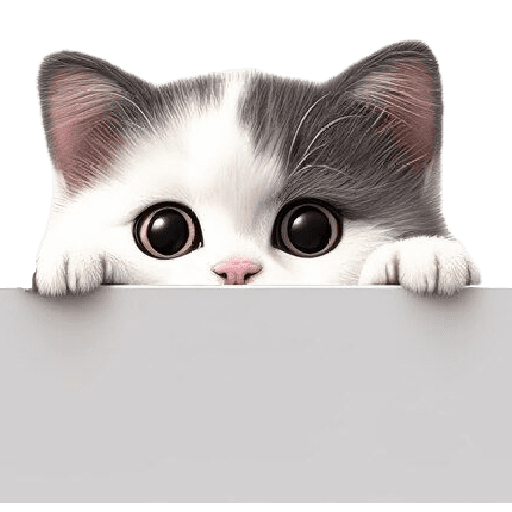 GATINHO NOVO 02 23