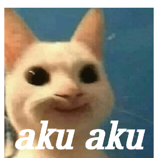 Meme 29