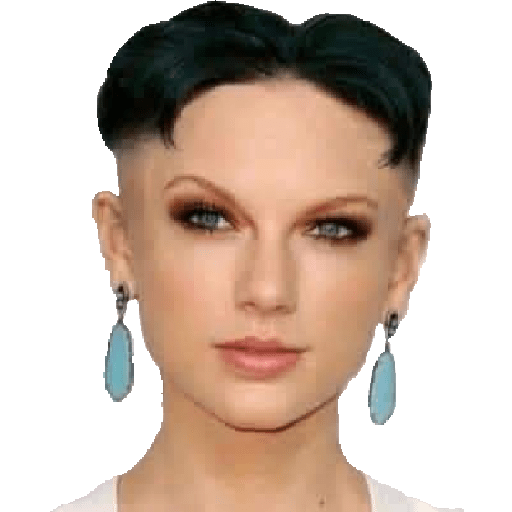 Taylor Swift Memes 6