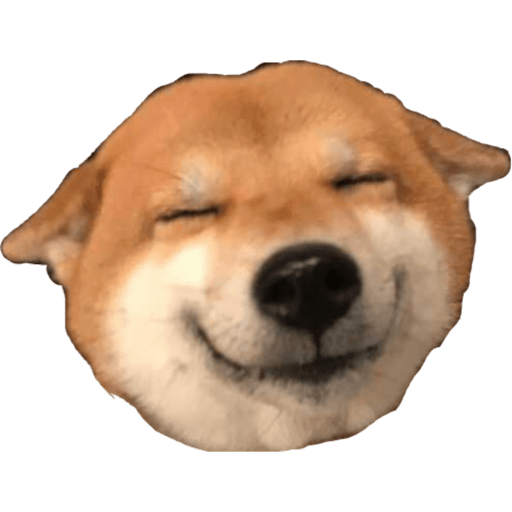 Perritos 4
