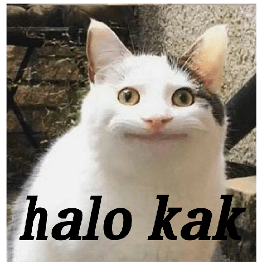 Meme 3
