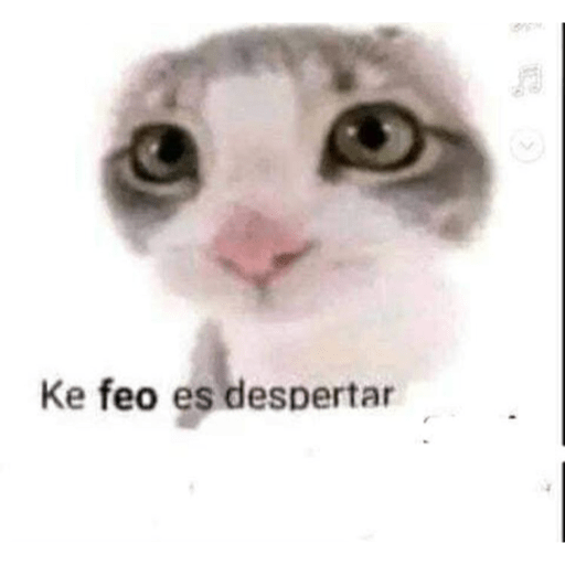 De los buenos☺️😂 5