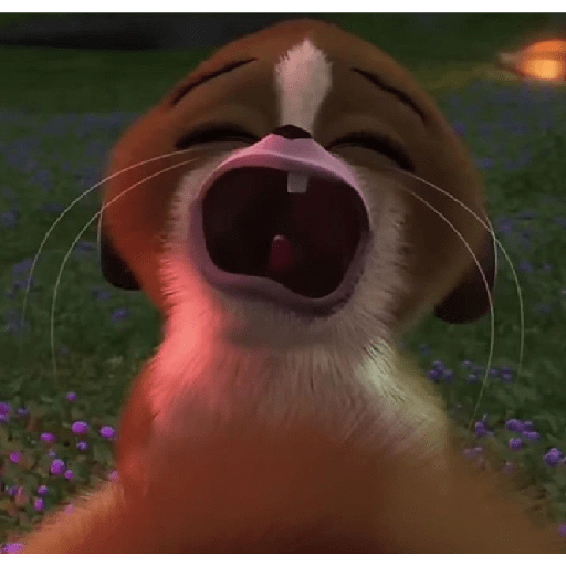 🐧Madagascar 🐧 5