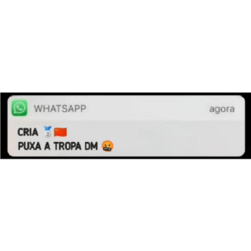 Aleatório (1) 7