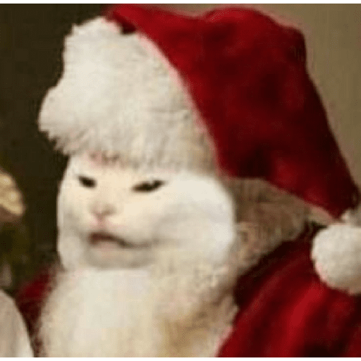 Natal & gatinhos ♥️ 1