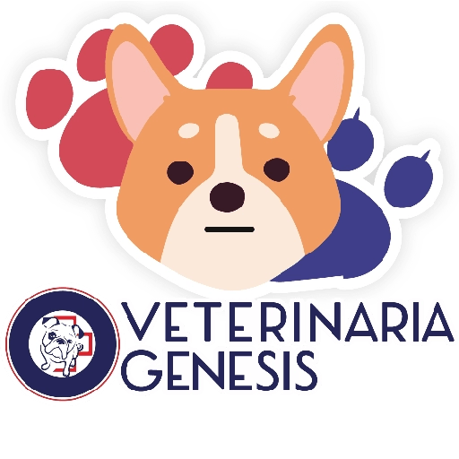 Vet Génesis emojis  7