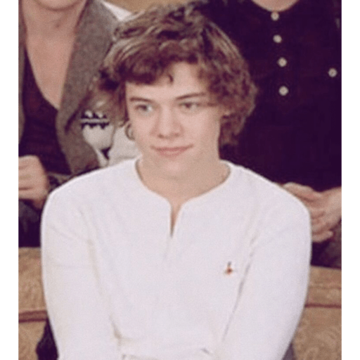 Harry styles 23