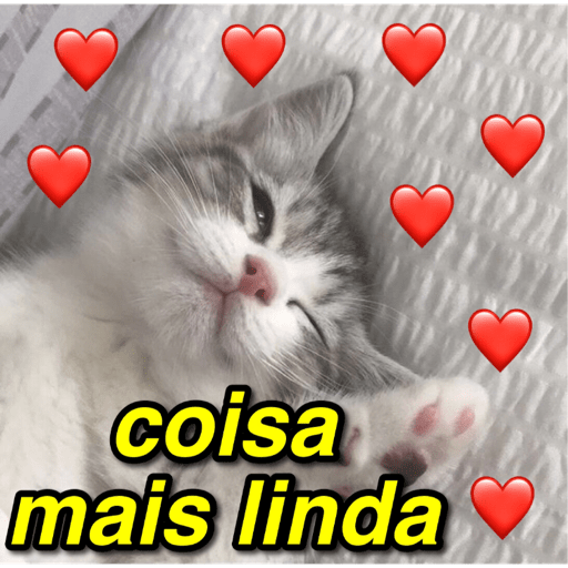 Pro mozão 💖 4