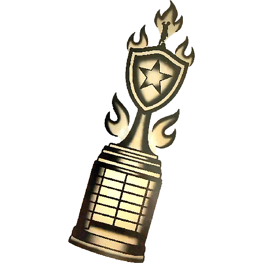 BOTAFOGO 3 29
