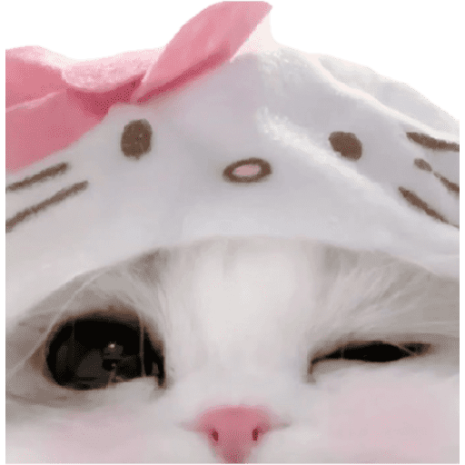 Miau 1