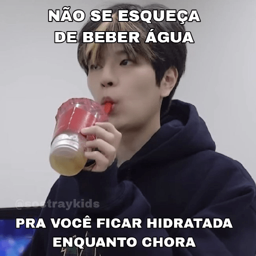 Só Stray Kids - Pack 10 5