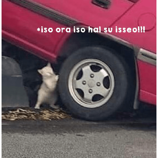 Meme kemarahan 19