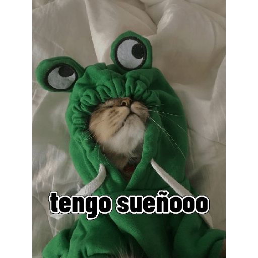 Gatitos tiernos 27