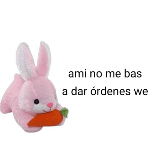 Xddddd 10