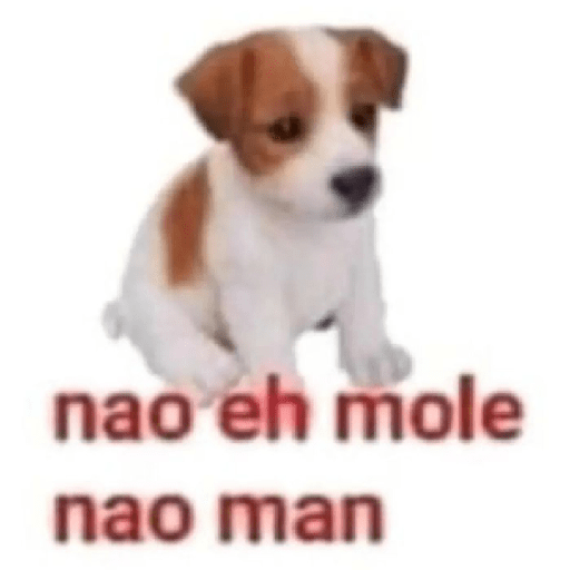 Memes brasil 5