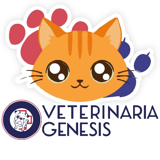 Vet Génesis emojis  14