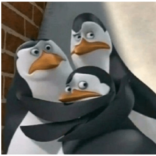 🐧Madagascar 🐧 18
