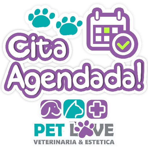 PET LOVE FRASES 4