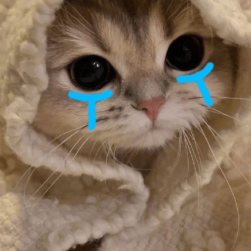 Gatitos sad 2