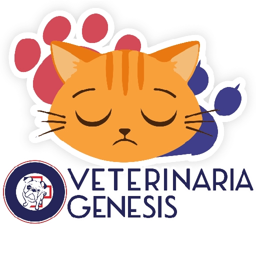 Vet Génesis emojis  10