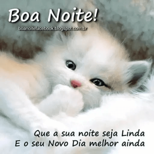 Boa noite 29 20