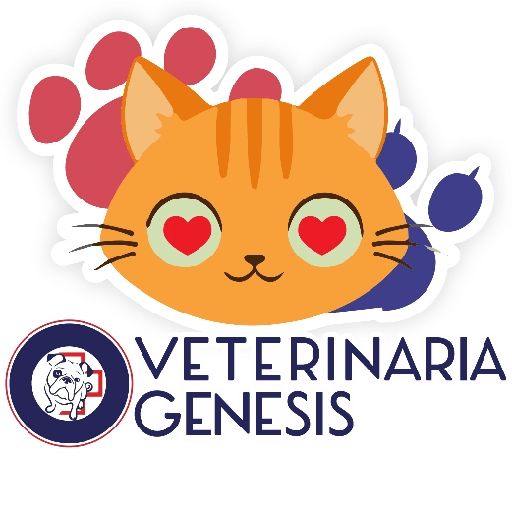 Vet Génesis emojis  13