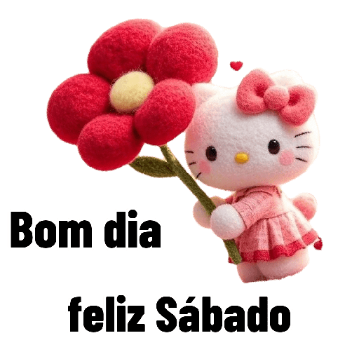 Hello kitty com  flores 🌹 15