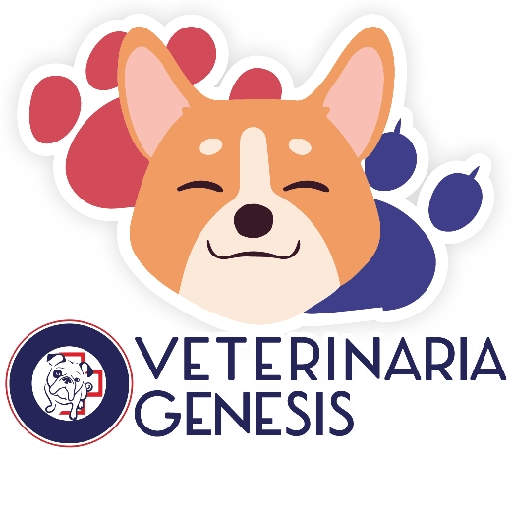 Vet Génesis emojis  8