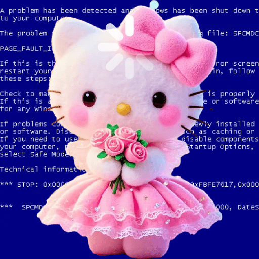 Hello kitty com  flores 🌹 10