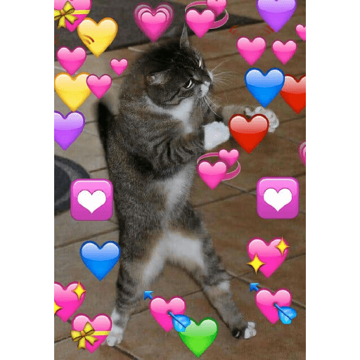 Gatos de amor  22