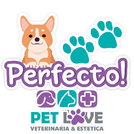 PET LOVE FRASES 16
