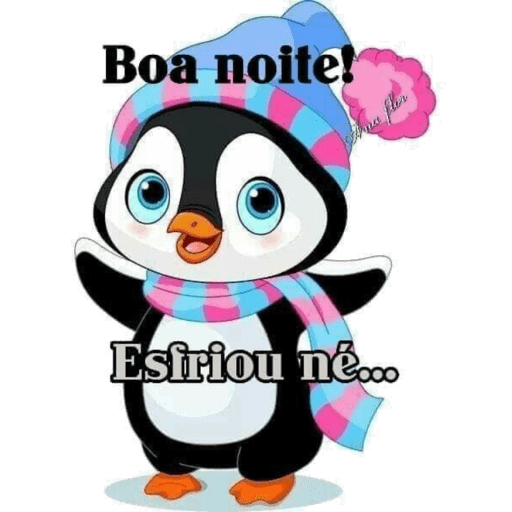 Boa Noite 19 1