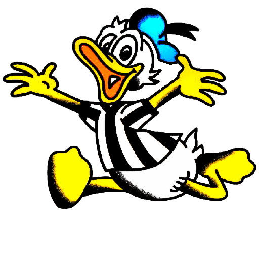 BOTAFOGO 3 23