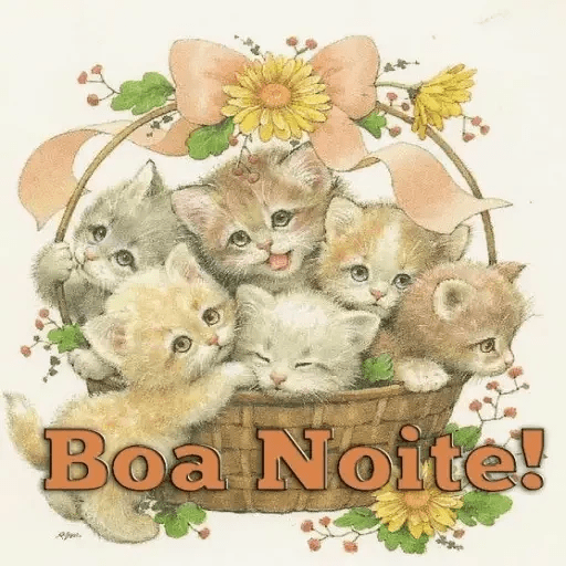 Boa noite 29 21