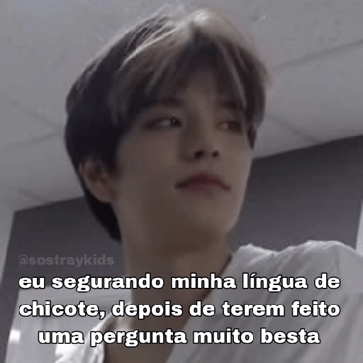 Só Stray Kids - Pack 10 12