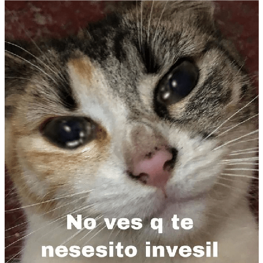 Jeje 15