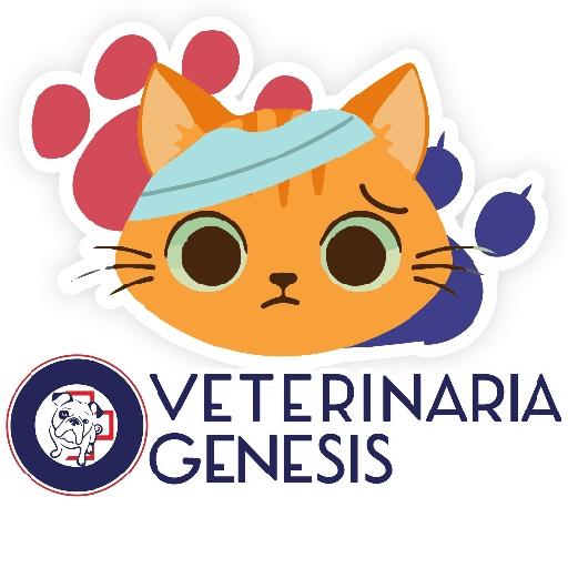 Vet Génesis emojis  2