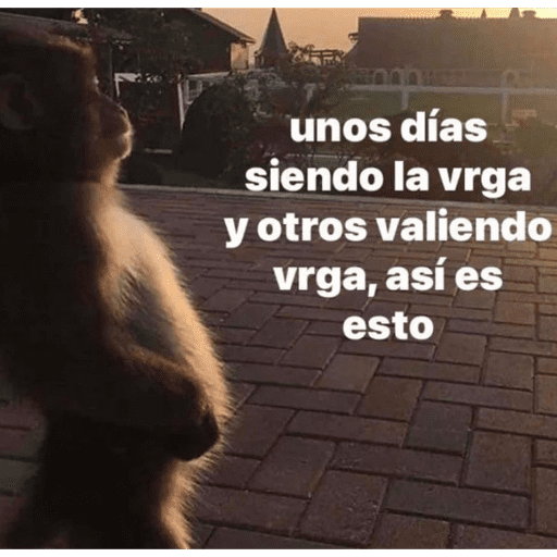 Monos 2