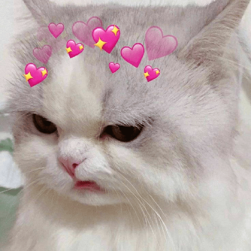 Gatos de amor  21
