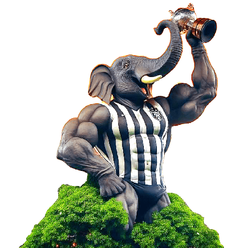 BOTAFOGO 3 19