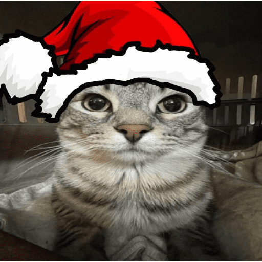 Natal & gatinhos ♥️ 9
