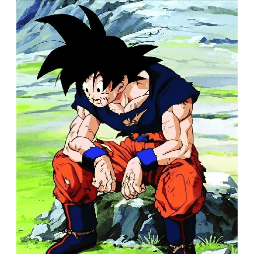 Son Goku 22 19