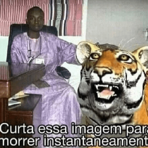 Tigre 10