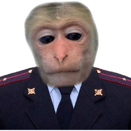 Monkey c 21