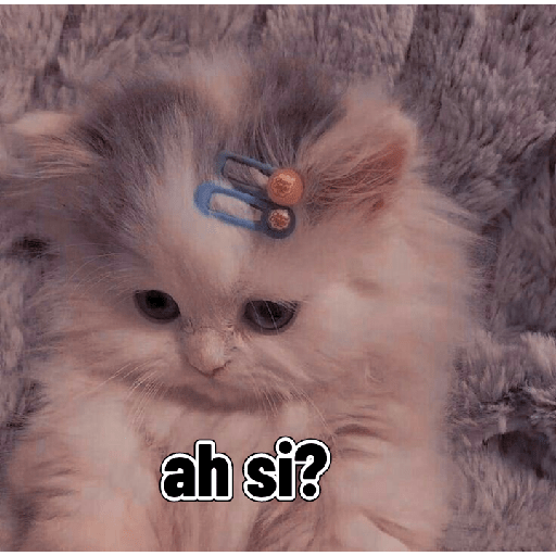 Gatitos tiernos 26