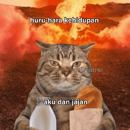 Kucing 17