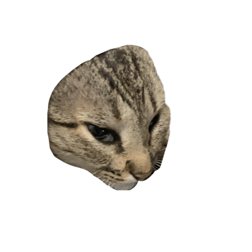 Animals 1